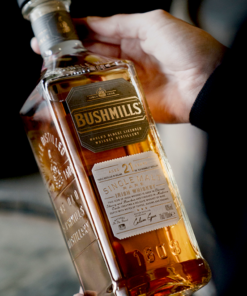 Alternative view of WHISKEY BUSHMILLS 21YO 0,7L 40%